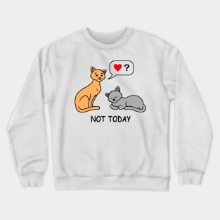 Not Today tired lazy cat wants no love and attention funny cat t-shirt gift for cat lovers Crewneck Sweatshirt